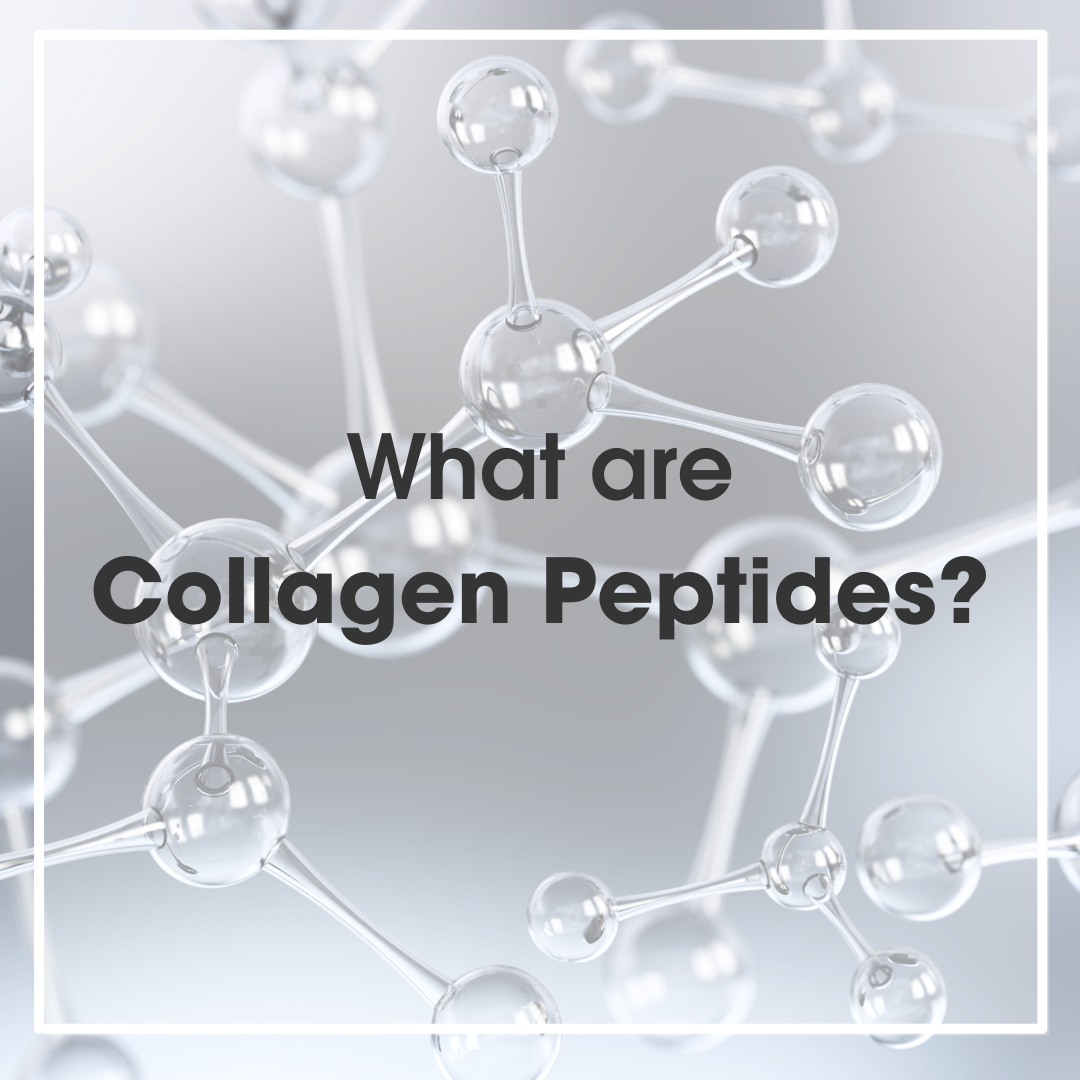 What are collagen peptides?